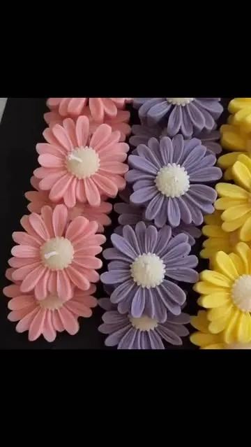 Colour your space, one daisy at a time 🌸🌼