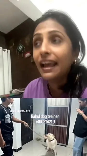 We have Google Rating 4.9 ⭐ ⭐ ⭐ ⭐ ✨ Rahul Dog Trainer do call me 7400214210 